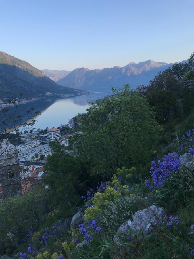 Romantic Rooftop View Hideaway- Old Town Nr 404 Kotor Eksteriør billede